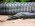 Crocodile tail and hind leg